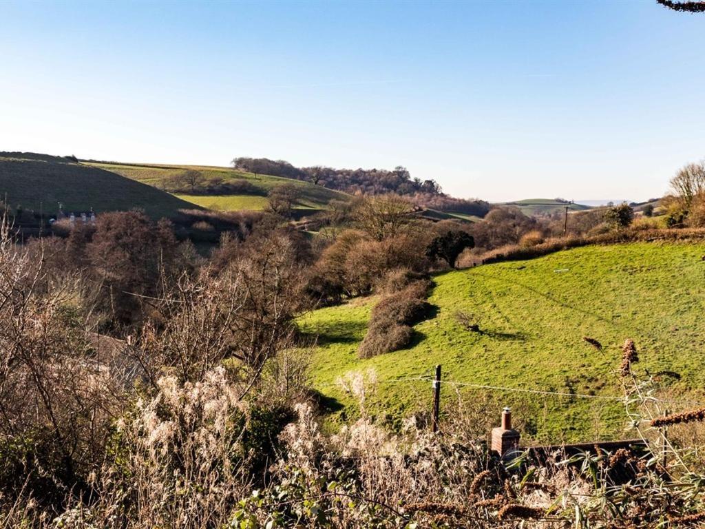 The Three Horseshoes Inn Bridport Bagian luar foto